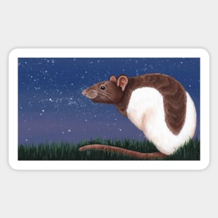 Agouti Hooded Rat Sticker